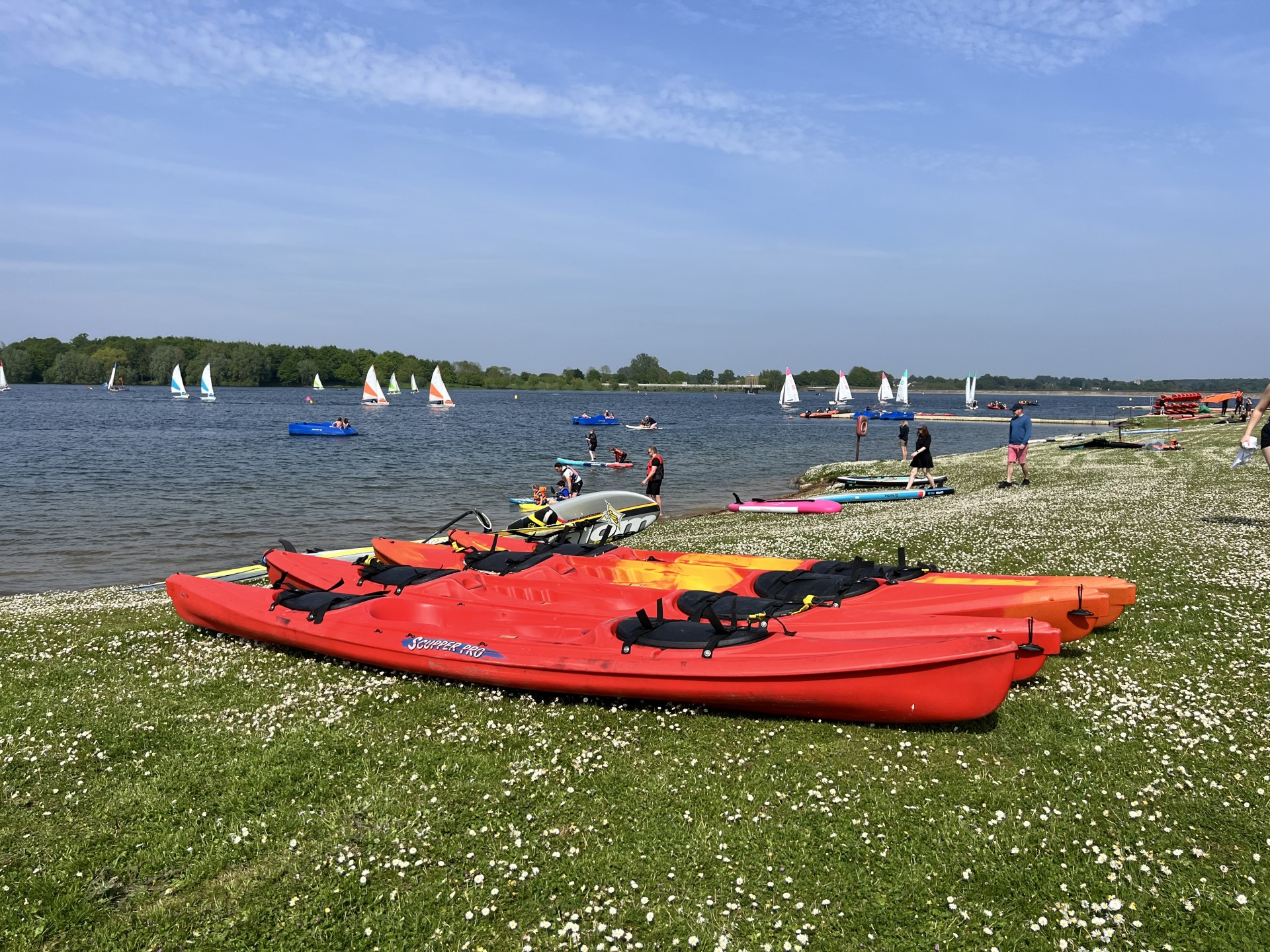 Ocean Kayak Scupper Pro For Sale