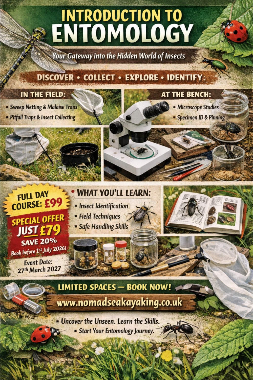 /storage/Introduction to Entomology Course in Suffolk.